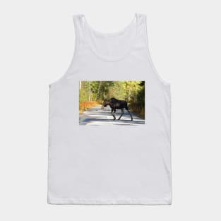 Jay Walking Moose - Algonquin Park, Canada Tank Top